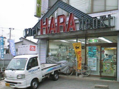 y}C^E܁zfL@HARA