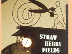 y}C^E܁zSTRAWBERRY FIELDS