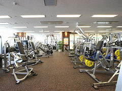 y}C^E܁zGOLDfS GYM {