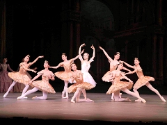 y}C^E܁zSaitama City Ballet