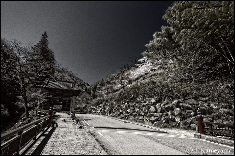 01：栃木市満願寺