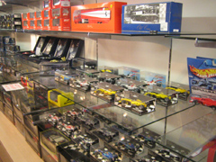 ���f���J�[�ʐ^