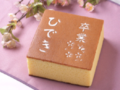 �J�X�e���ʐ^