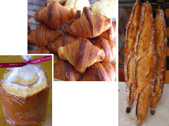 �e��p���ʐ^