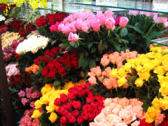 �e��o���ʐ^