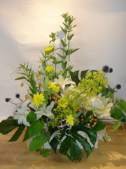 �A�����W��ʐ^