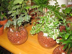 �C���e���A�O���[���ʐ^