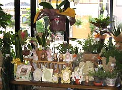 �C���e���A���ʐ^