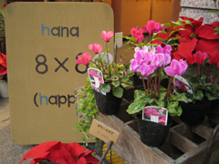 �G���g�����X�ʐ^