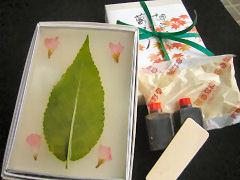 �u�������v�ʐ^