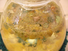 �n�[�u�e�B�ʐ^