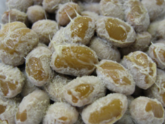 �u�߂̎q�v�ʐ^