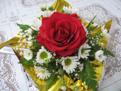 �u�t�����[�P�[�L�v�ʐ^