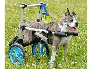 ���������p