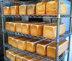 �H�p���ʐ^