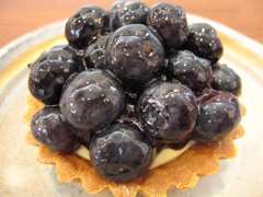 �u�u���[�x���[�^���g�v�ʐ^