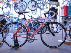 �A���J�[�ʐ^