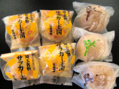 �u�T�b�J�[���q�v�u�T�b�J�[�����v�ʐ^