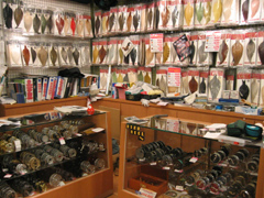 �t���C�ʐ^