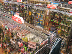 ���A�[�ʐ^