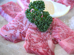 �u�a�����J���r�v�ʐ^