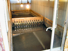 �������ʐ^