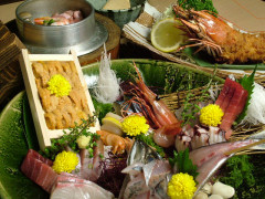 �R�[�X�����ʐ^