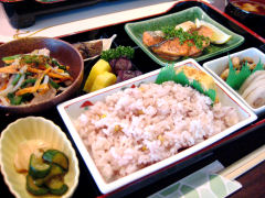 ���܂��������`�ʐ^