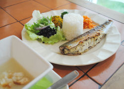 �����`�ʐ^