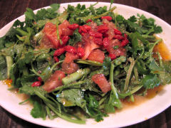 �T���_�ʐ^