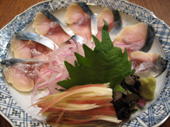 �u�ɏ�Y�I�v�ʐ^