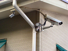 �h�ƃJ�����ʐ^