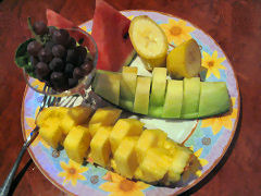 �t���[�c�ʐ^