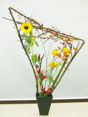 �t�����[�f�U�C���ʐ^