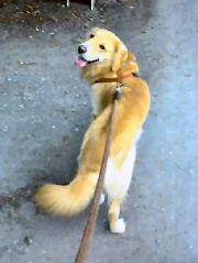 �C���[�W�ʐ^