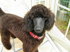 �C���[�W�ʐ^