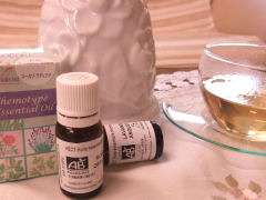 �A���}�ʐ^