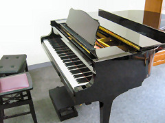 �������ʐ^