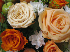 �C���[�W�摜