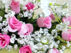 �C���[�W�摜