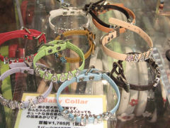 �I���W�i�����