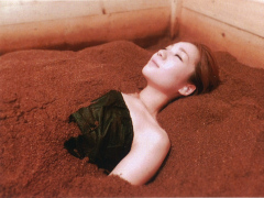 �y�f���C�ʐ^