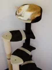 �l�R�����Q