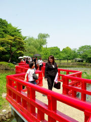 �c�A�[���