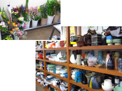 �Ԋ�E���Ԏʐ^