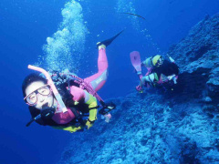 �_�C�r���O�C���[�W