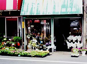 【マイタウンさいたま】花の店　ひぐち